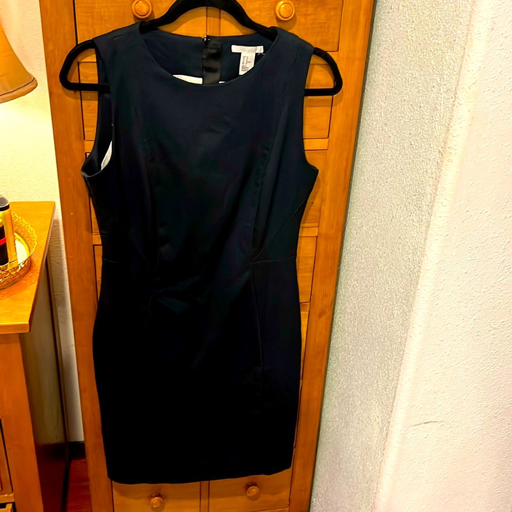Sexy professional dress. H&M, says size 10 but fits like a 6/8.